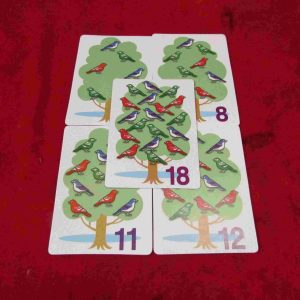 כרטיסי ציפורים 16080- להיות גאון ב 1 דקות - לימוד