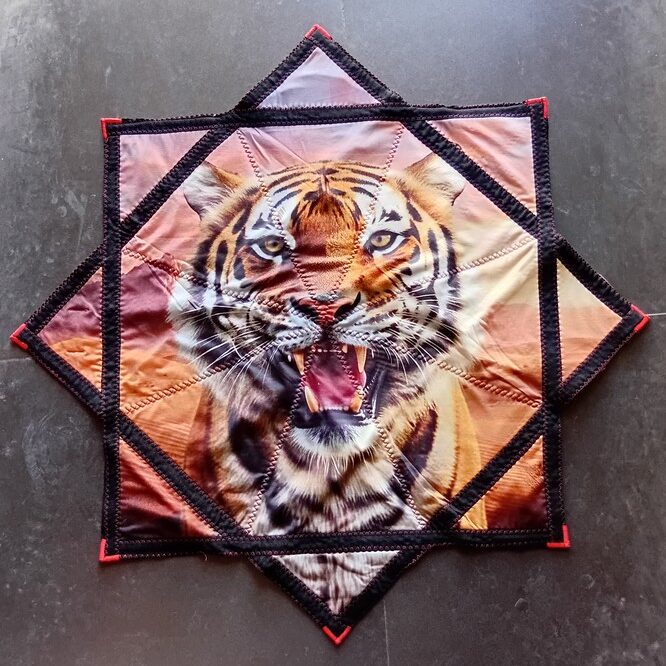 דאפו ג'אגלינג TIGER dapo DAPO JUGGLING